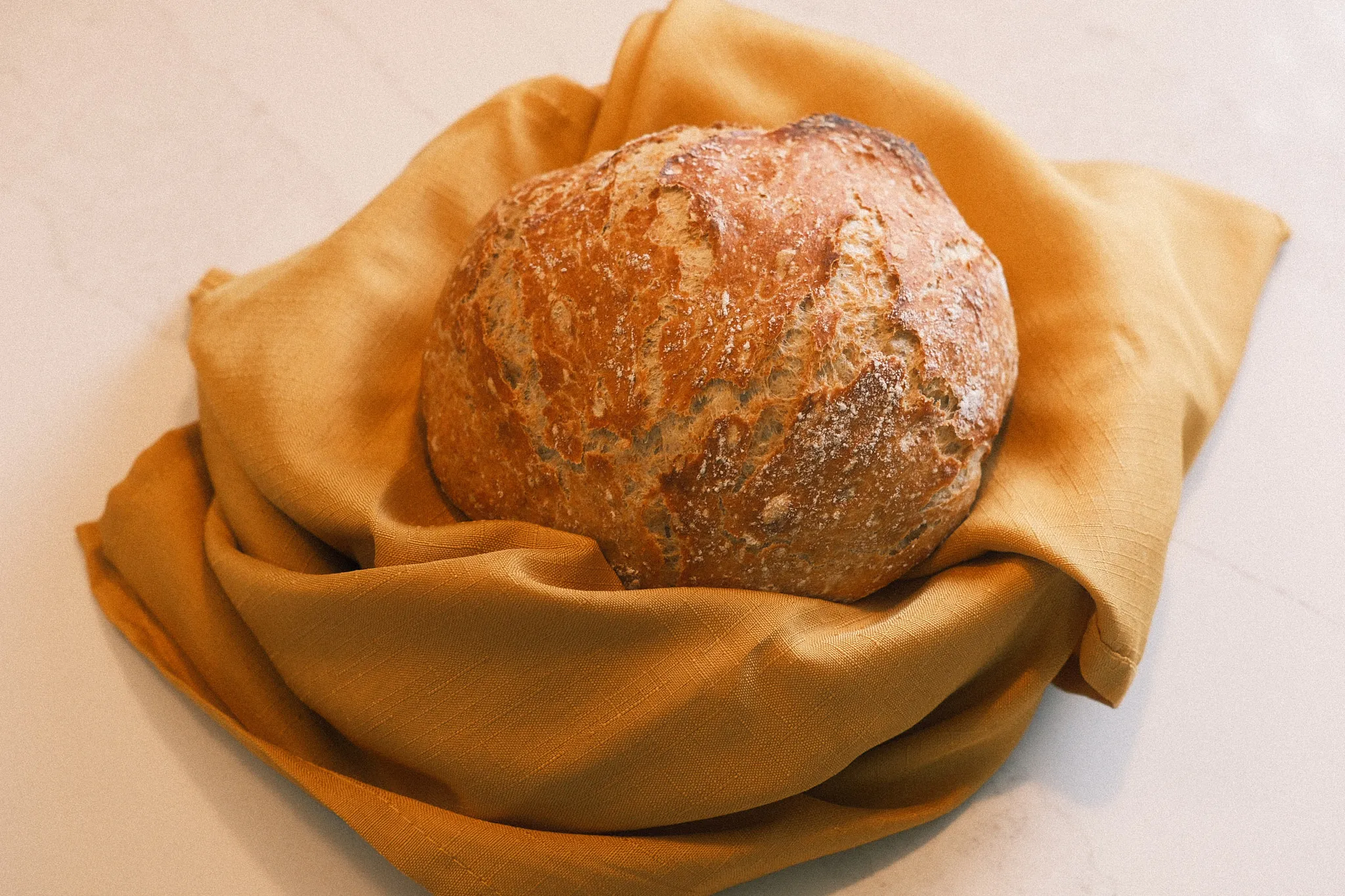 Cancer Recovery Nutrition