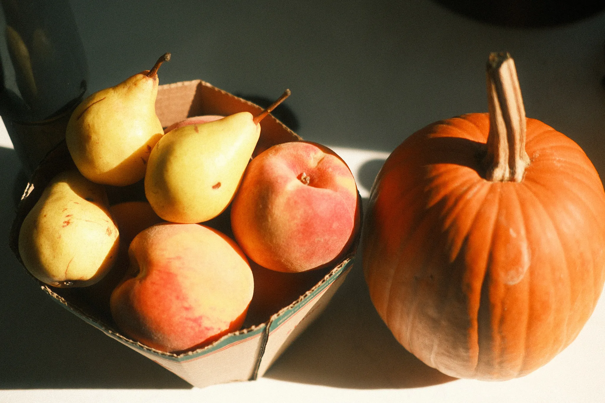 General Nutritional Counselling